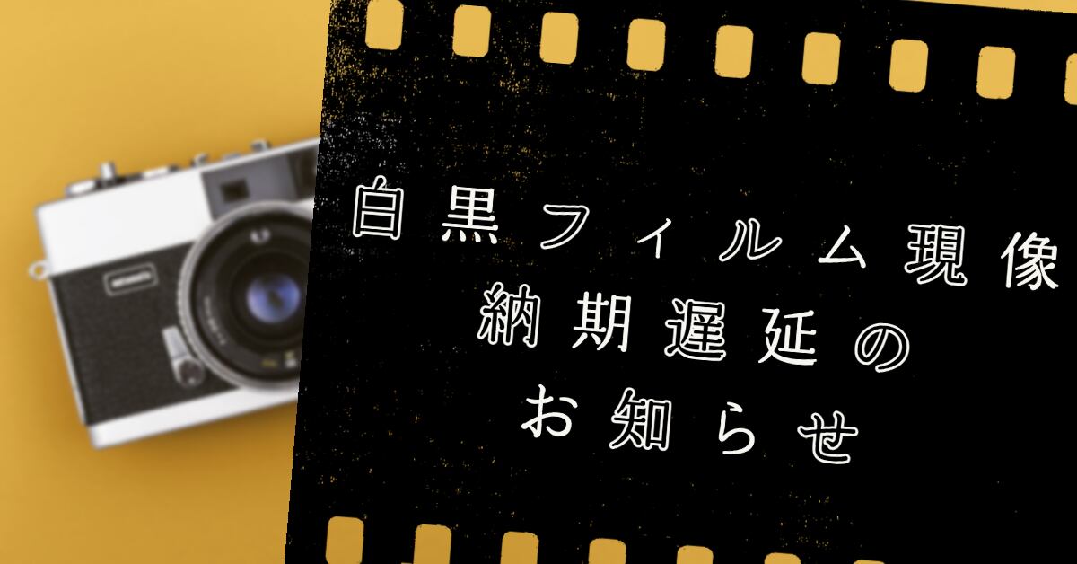 フォトデポ彩色兼美 [フィルムカメラ・郵送写真現像のお店]