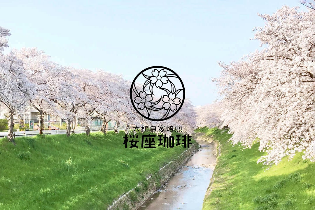 大和自家焙煎　桜座珈琲