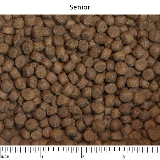 WYSONG™ | WYSONG™(ワイソン)公式ショップ