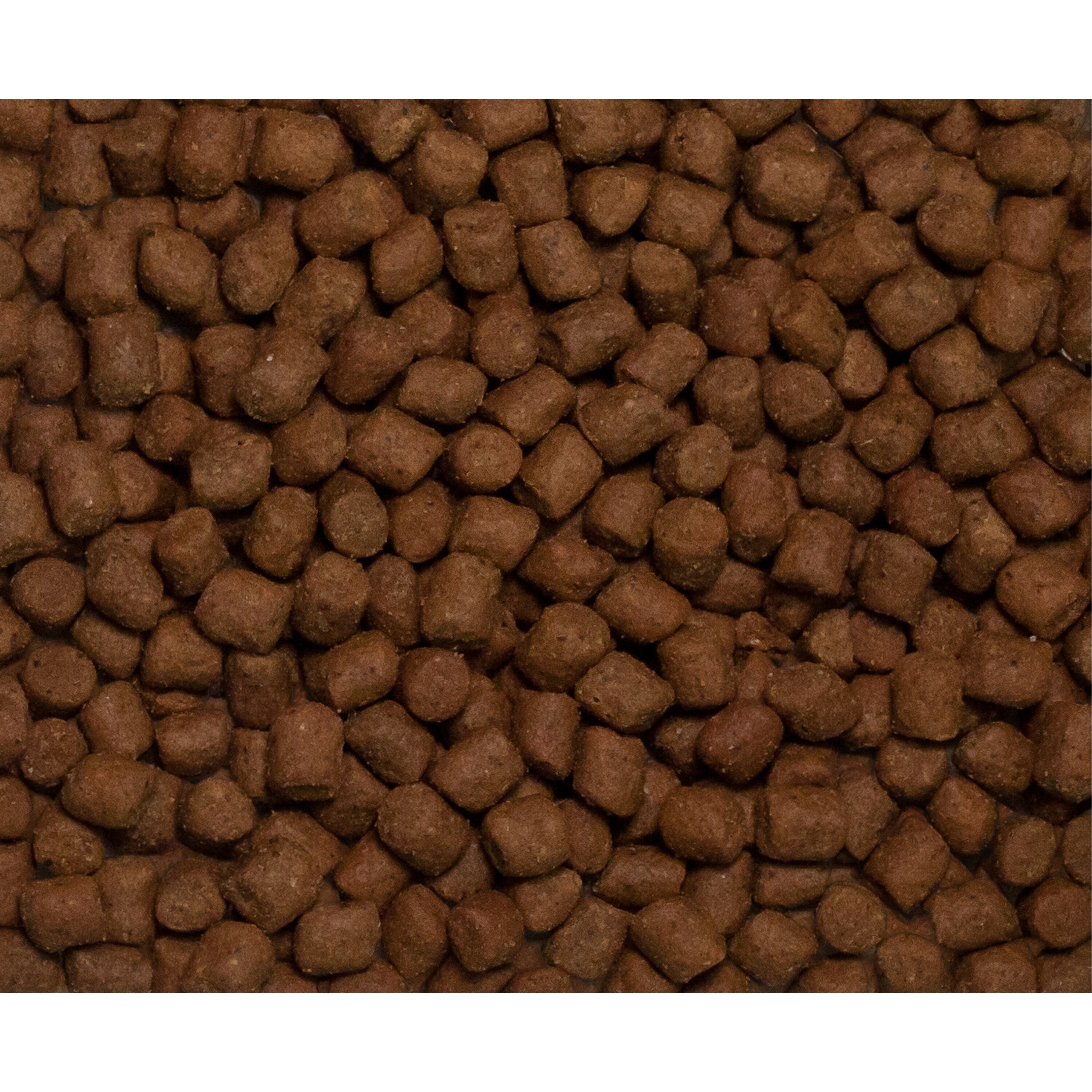 ドッグフード CHAEYOUNG wannyan_7113200