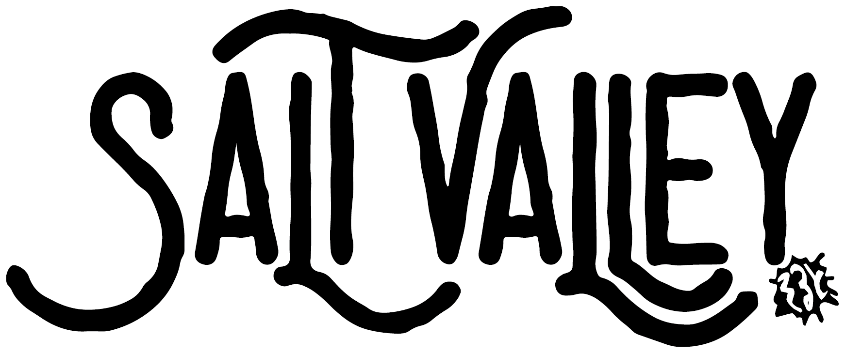 saltvalley