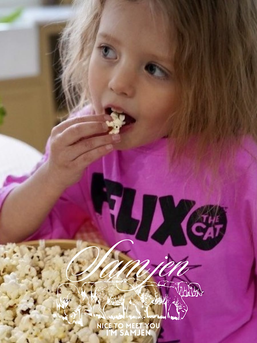 felix cat T