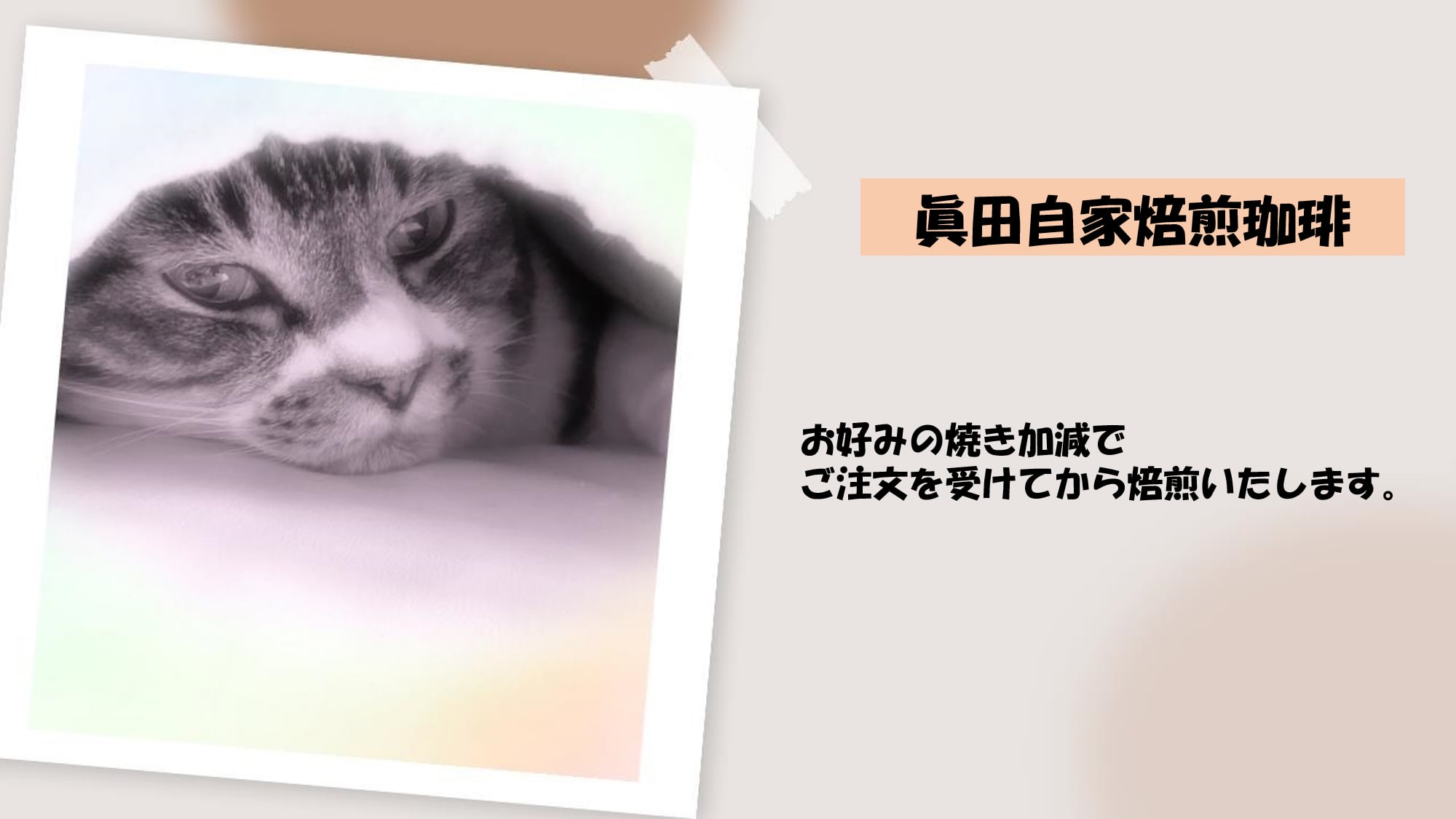 眞田自家焙煎珈琲