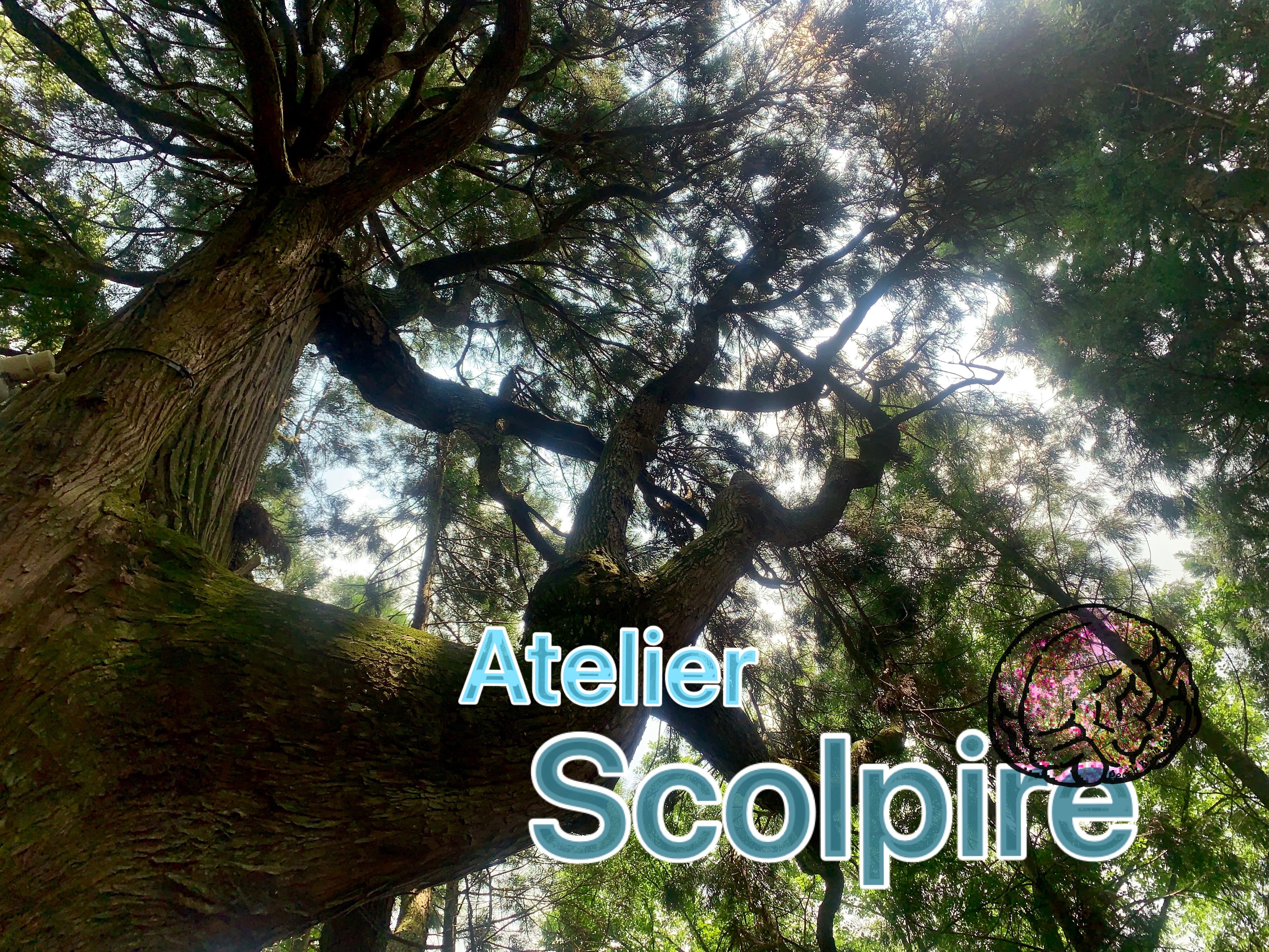 Atelier Scolpire