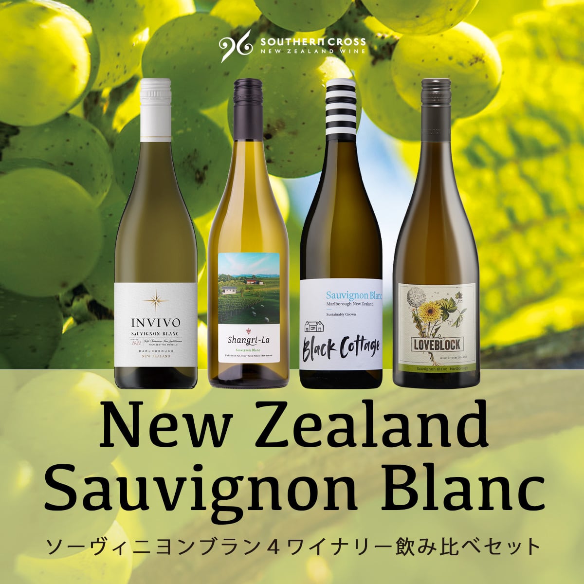 【10%OFF】ソーヴィニヨンブラン4ワイナリー飲み比べセット
