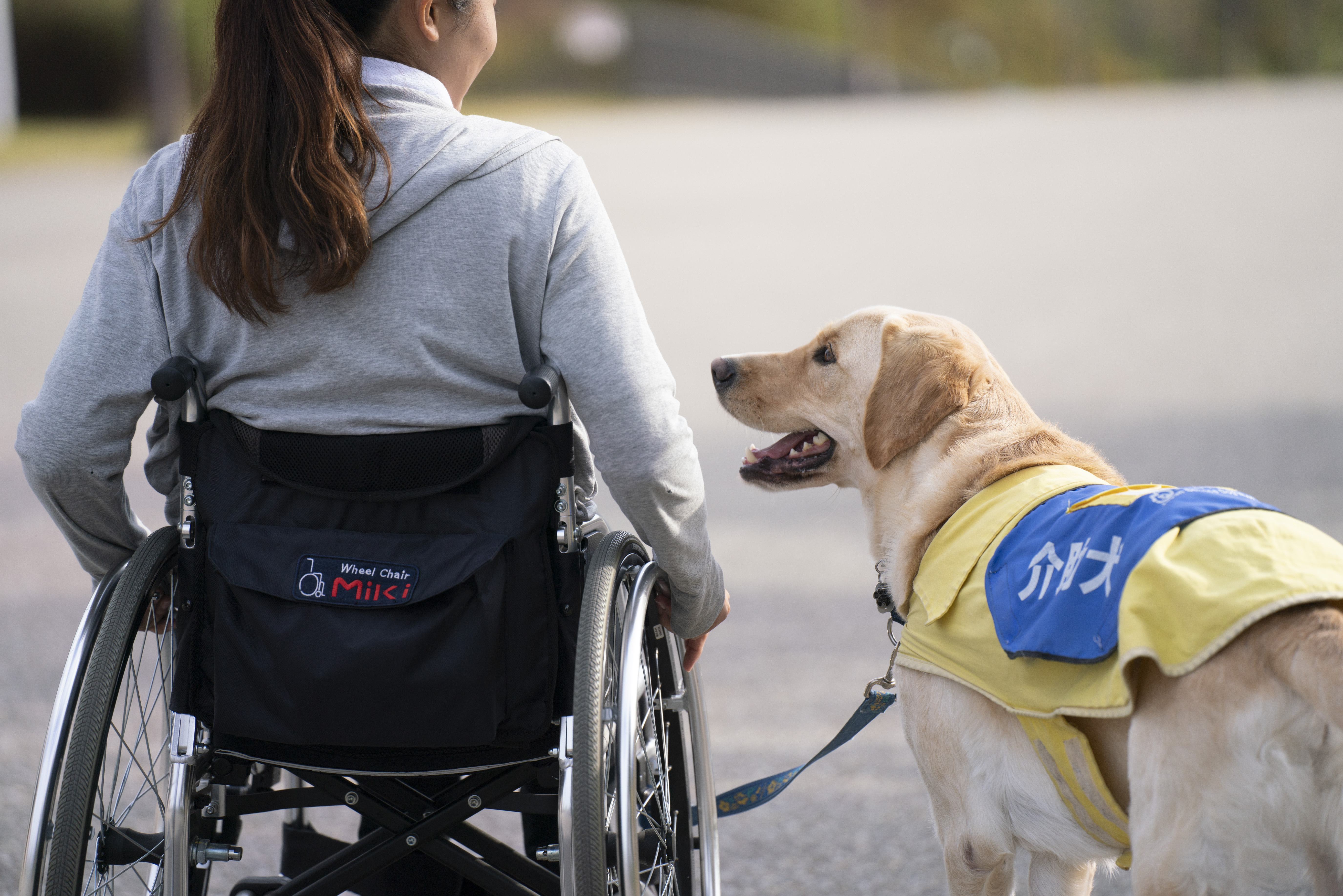 社福）日本介助犬協会チャリティグッズショップ