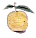 盛松寺　ゆず坊　