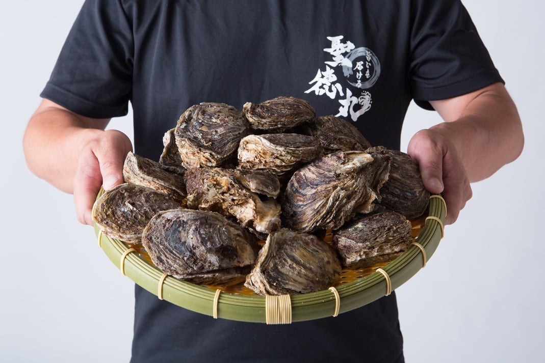 【coming soon】 天然岩牡蠣
