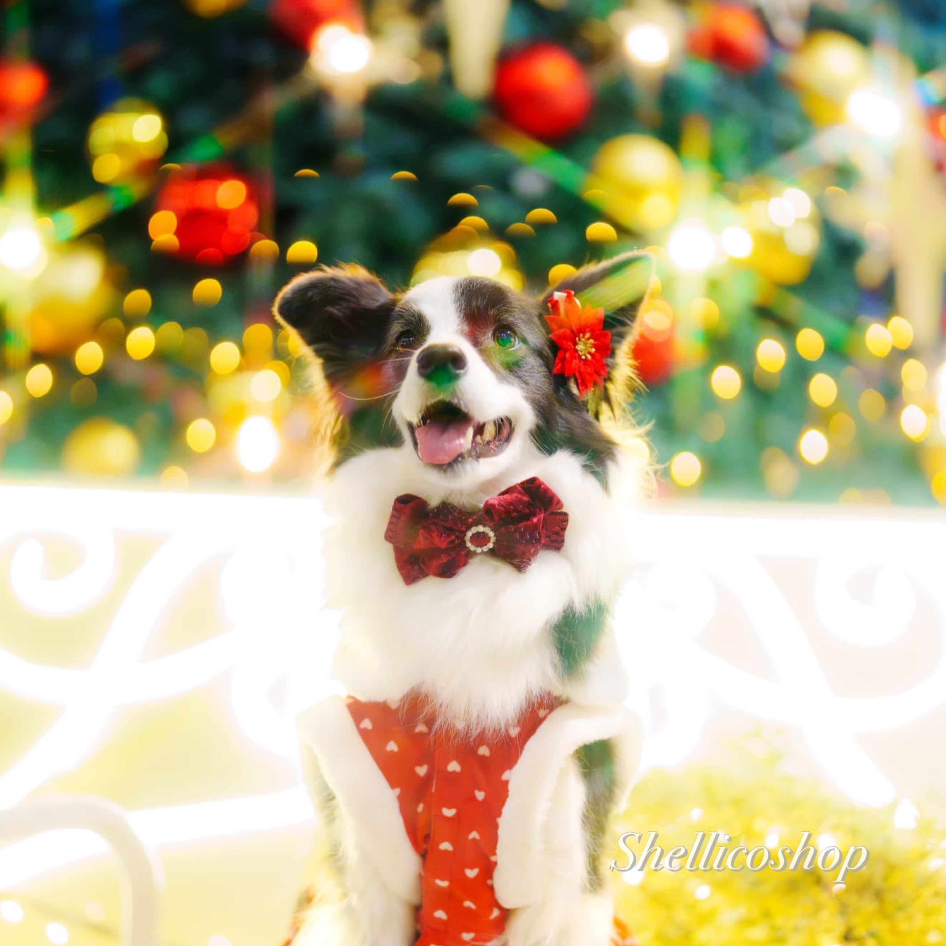 クリスマスリボン販売中！！