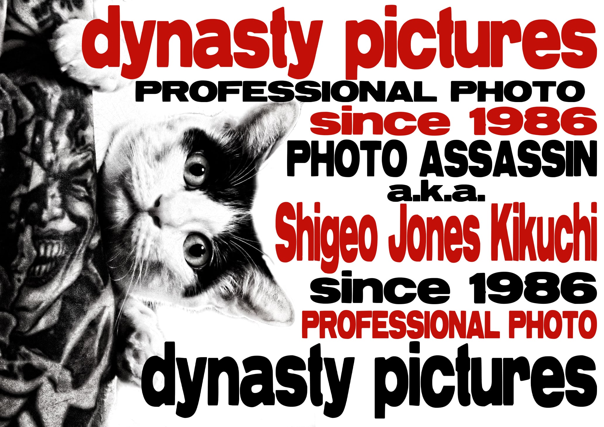 dynasty pictures
