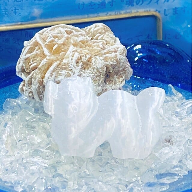 浄化セット