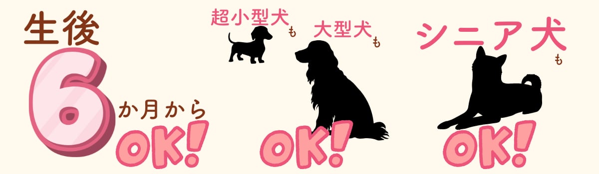 紹介画像3
