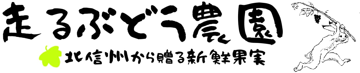 shinshufruit