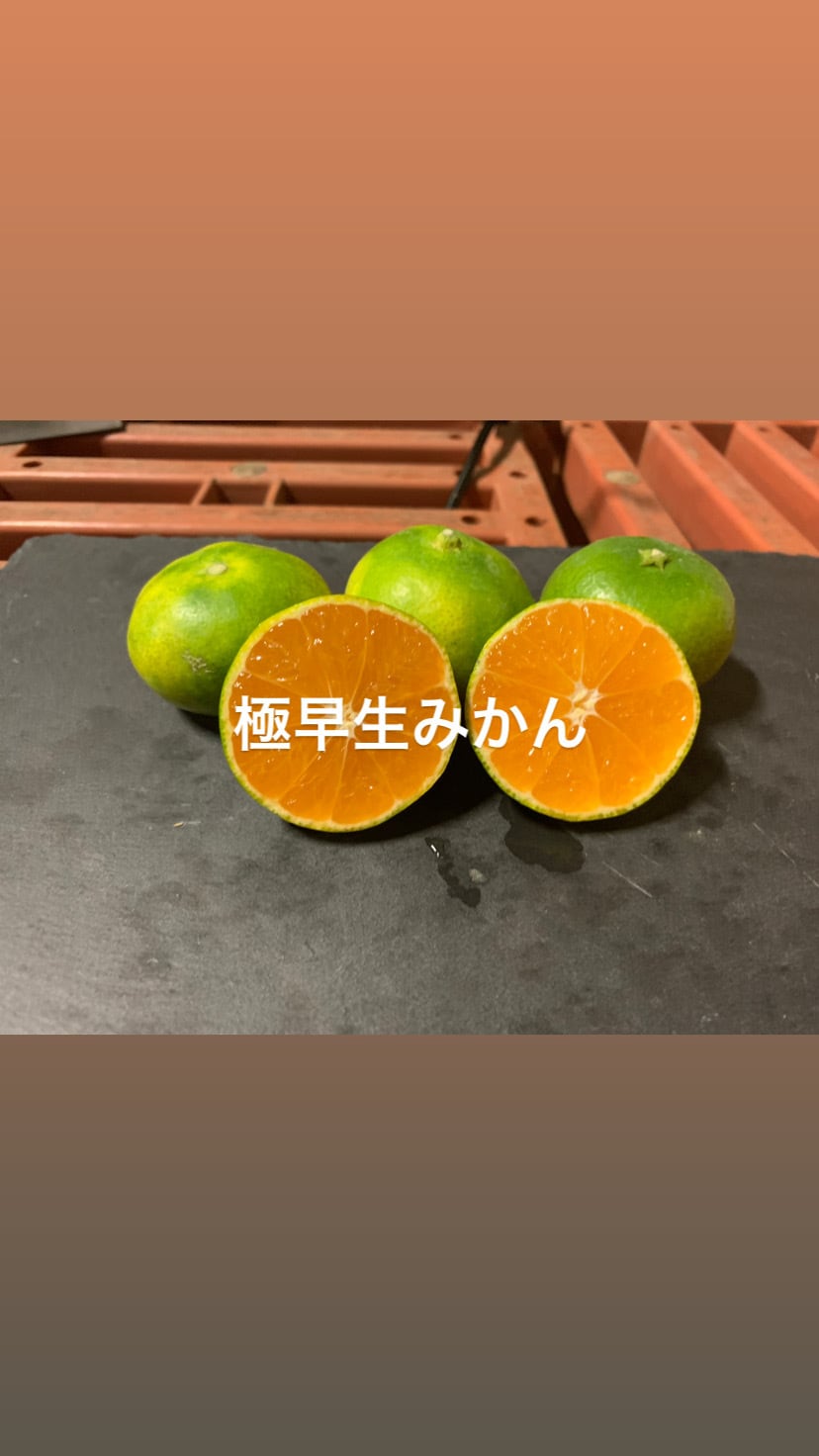sigenomikan