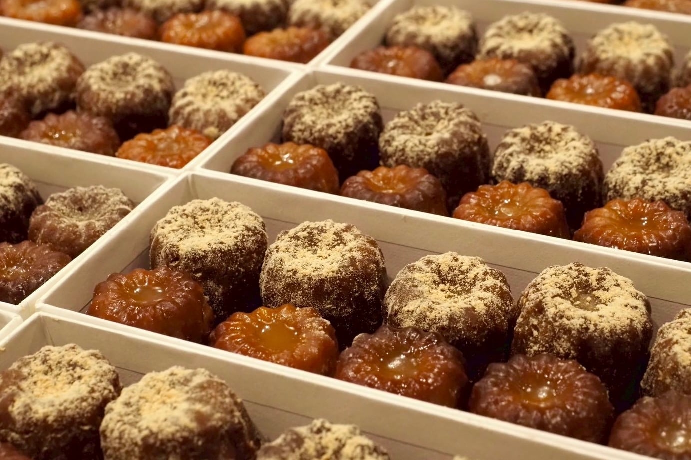 私たちについて