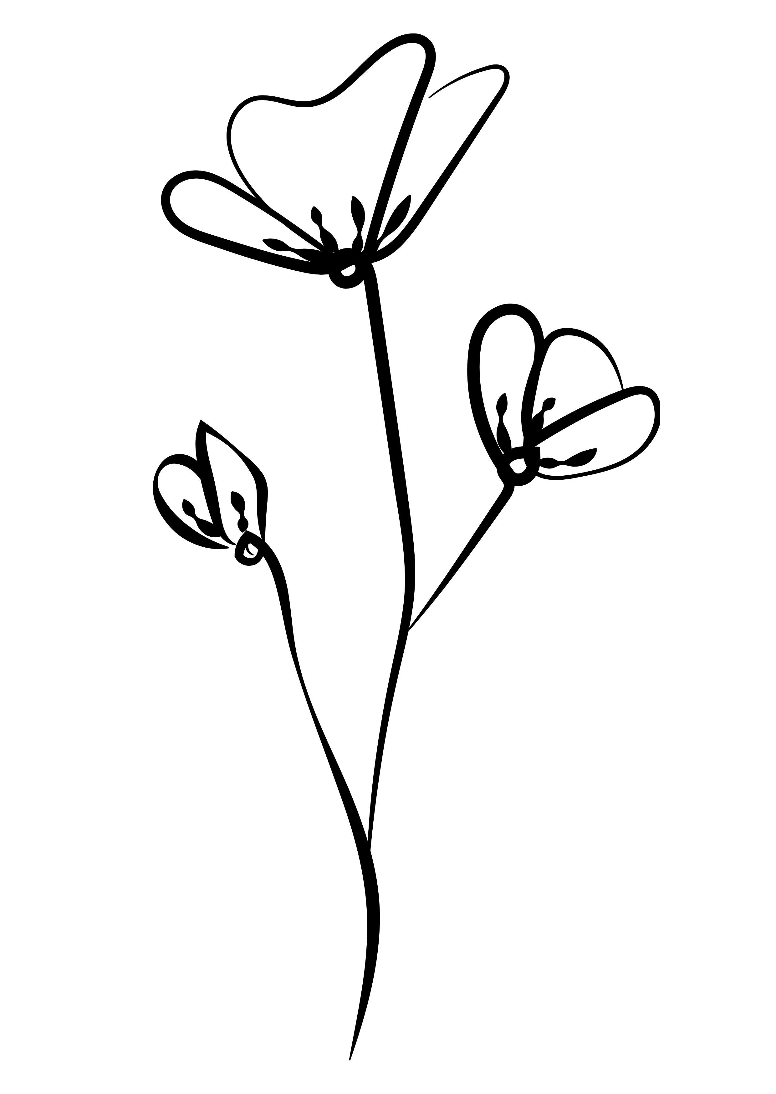 sorellemine