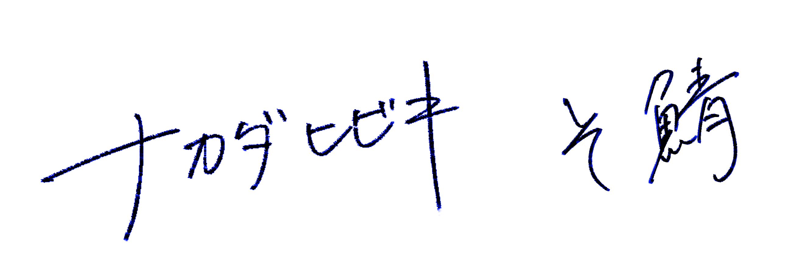 ナカダヒビキ/そ鯖