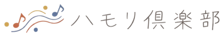SALON YS 