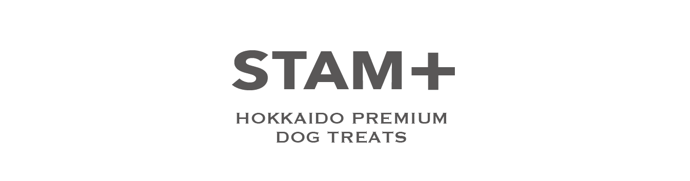 STAM+