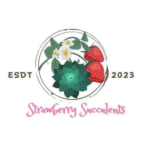 StrawberrySucculents・苺の多肉たち