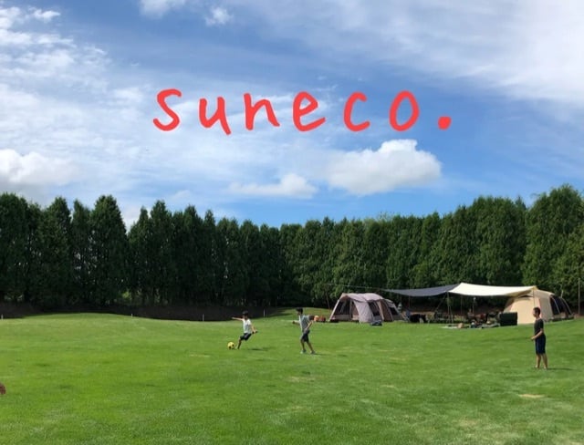 suneco.