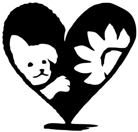 SUNNY DOG'S  サニードッグス