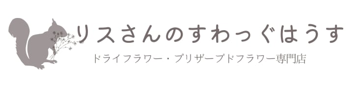 リスさんのすわっぐはうす