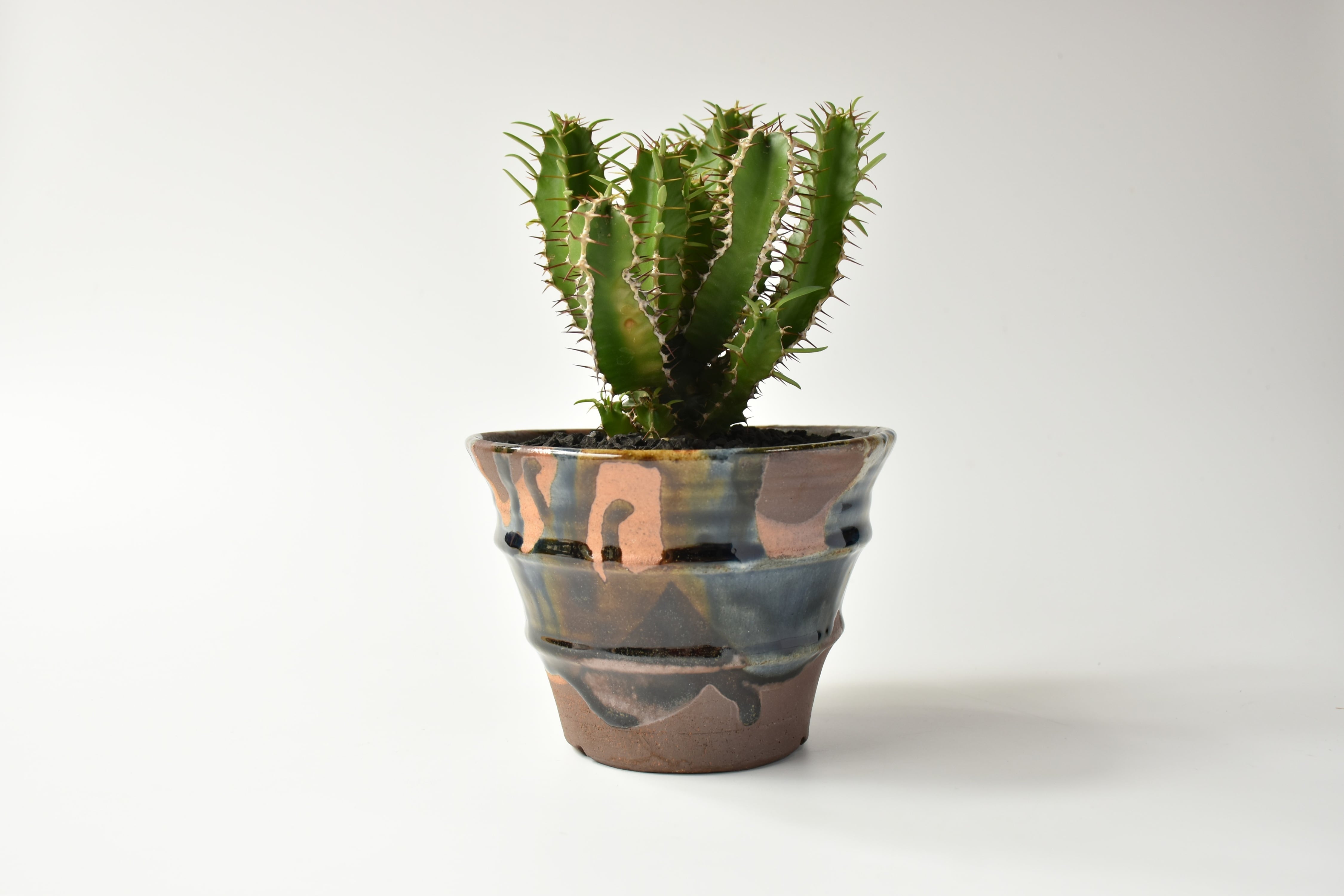 5寸 植木鉢 打ち掛け