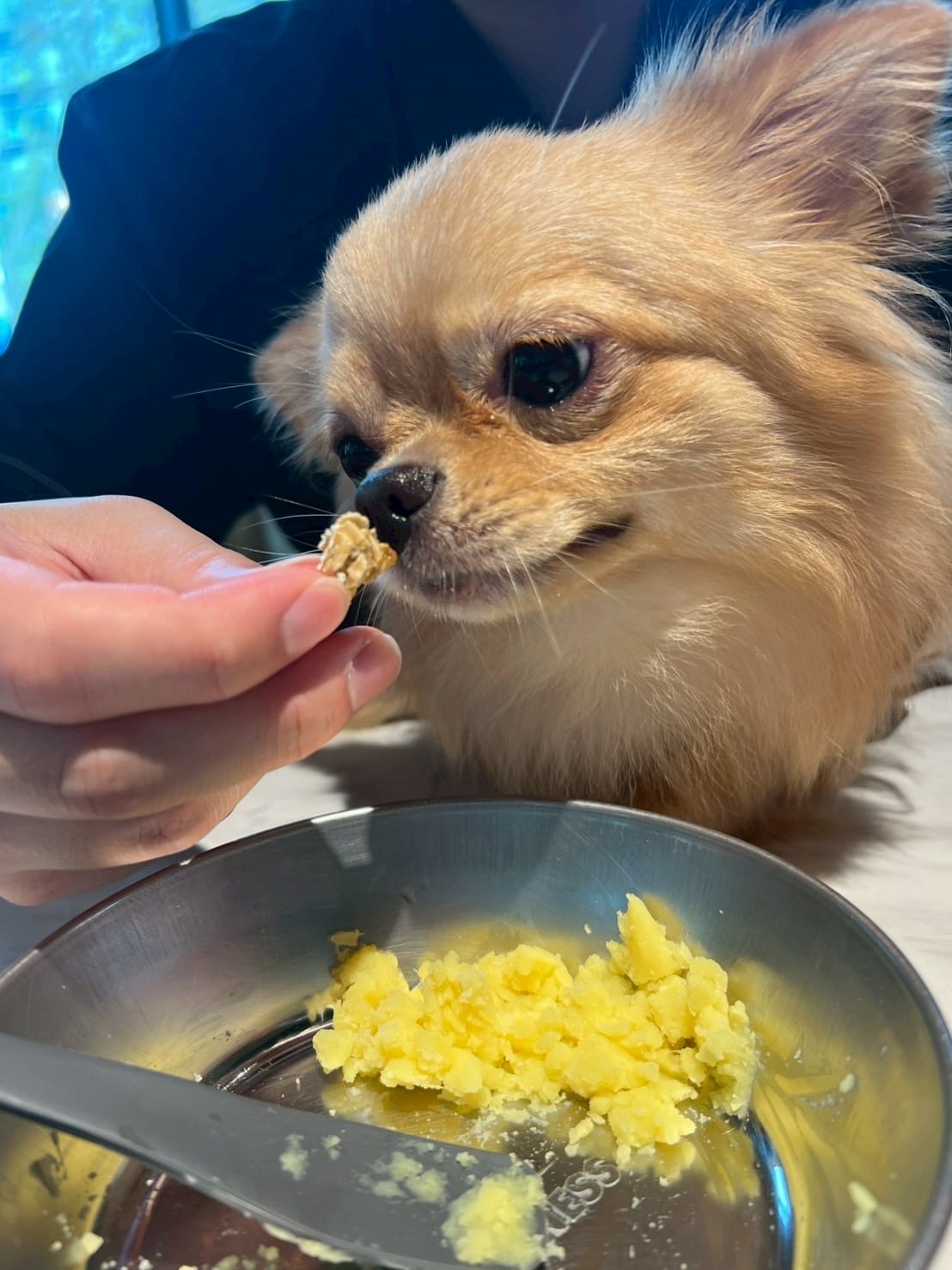 記憶に残る愛あふれるかぞくとの時間を　1日でも長く過ごしてほしい
