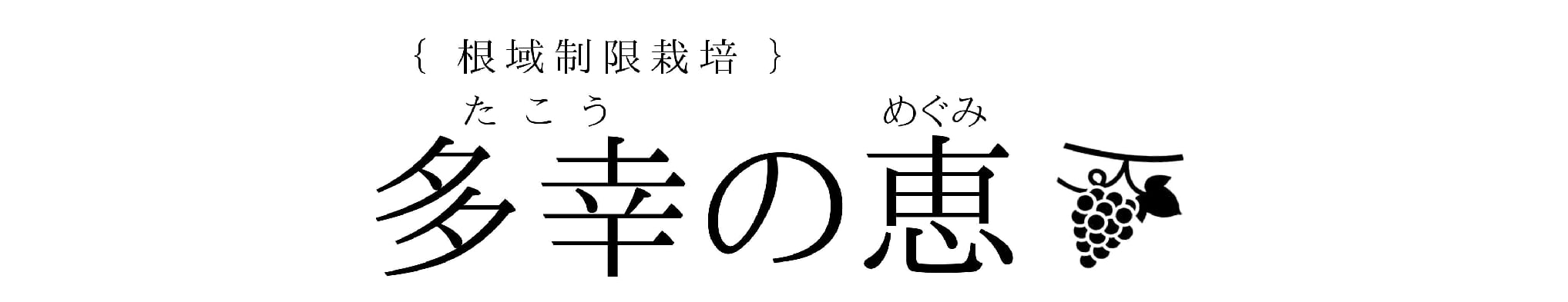 根域制限栽培ぶどう　多幸の恵