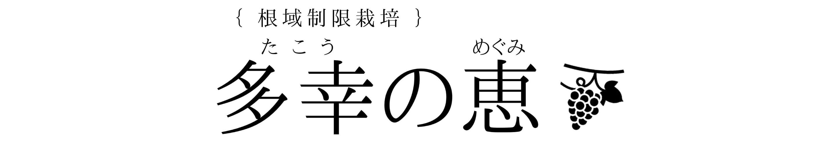 根域制限栽培ぶどう　多幸の恵