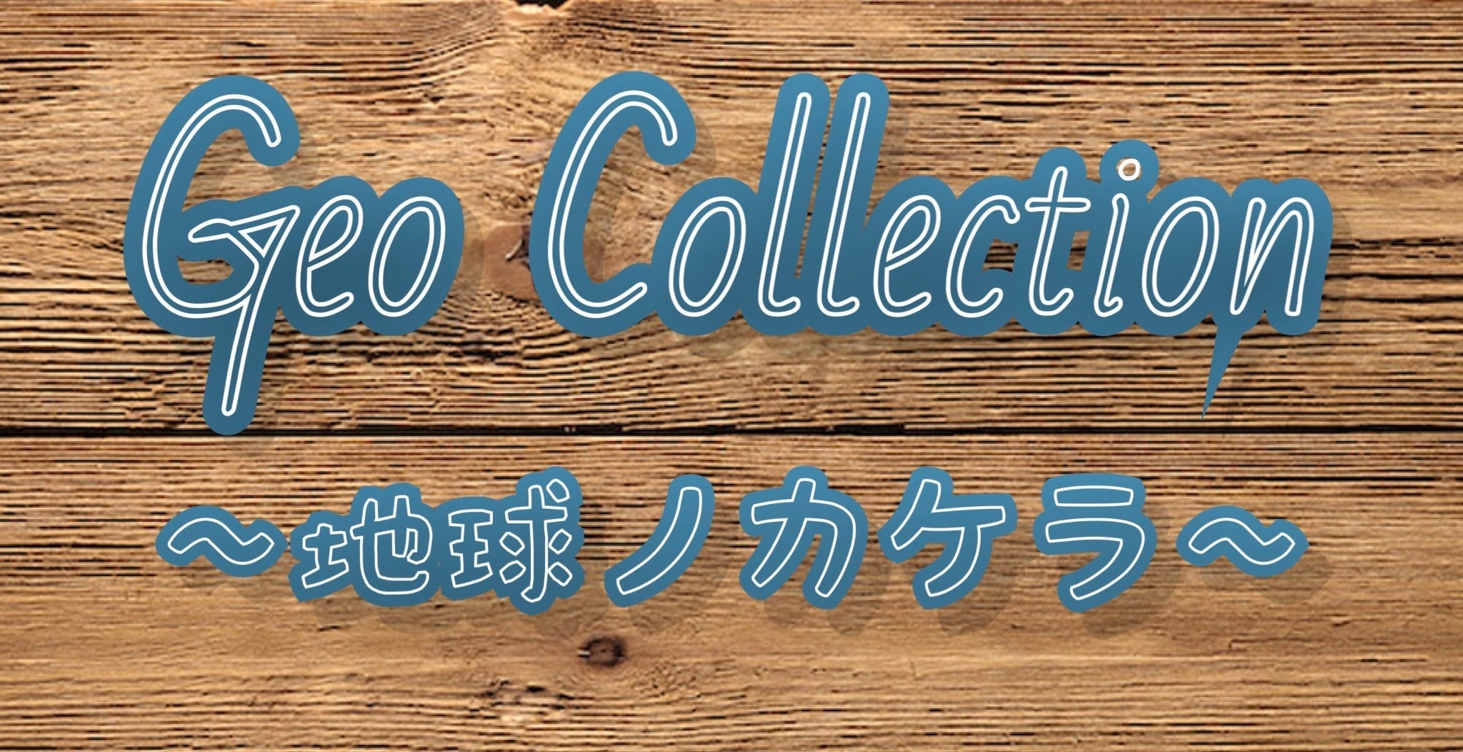 たぬきの部屋