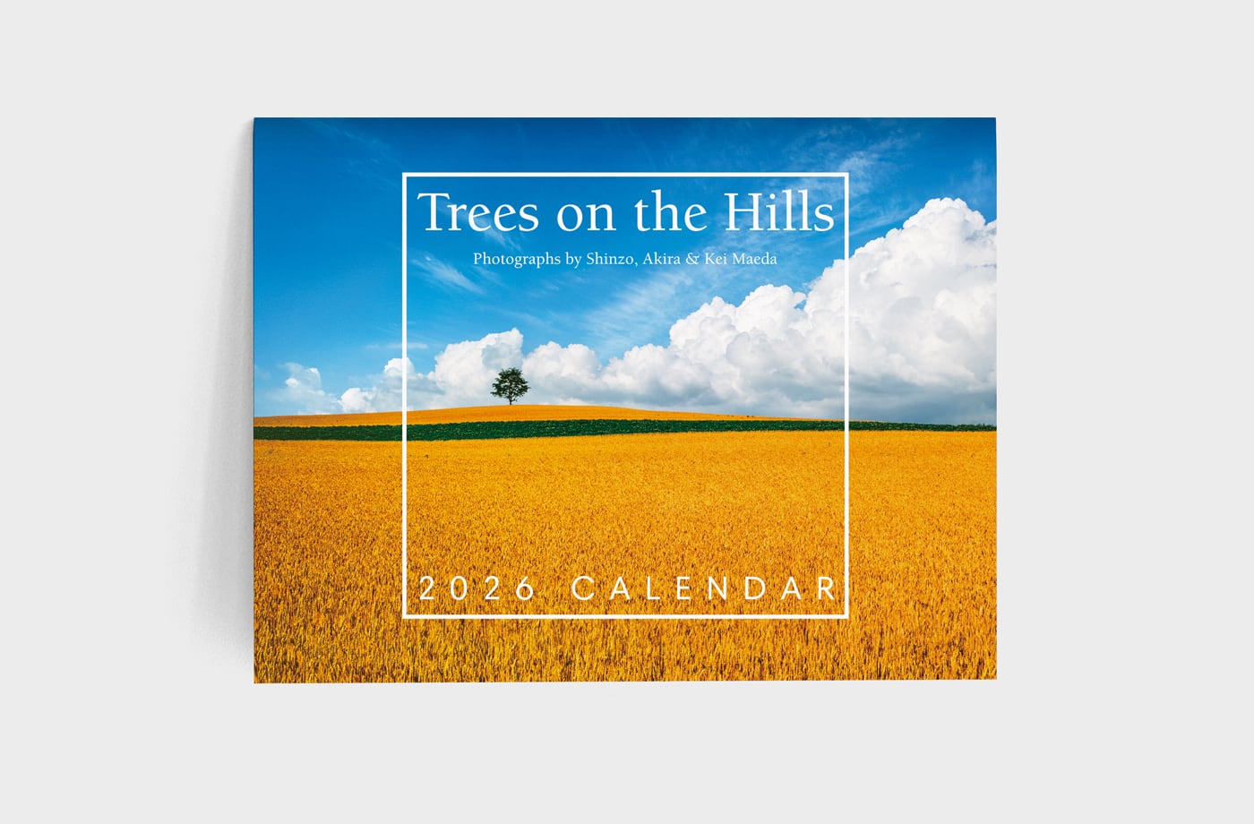 dd6520f180533a65209119ac36af9a