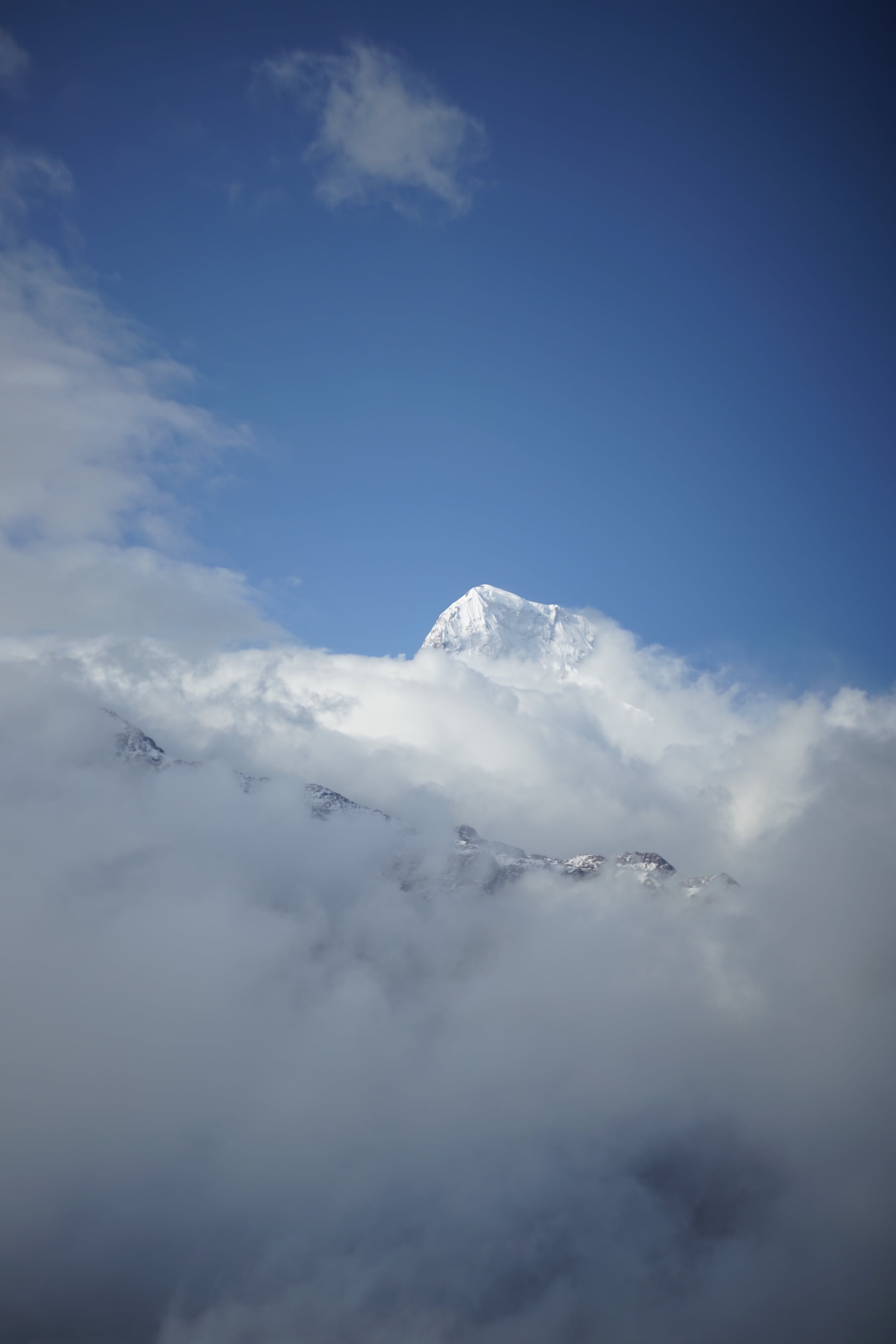 Himalayan Life