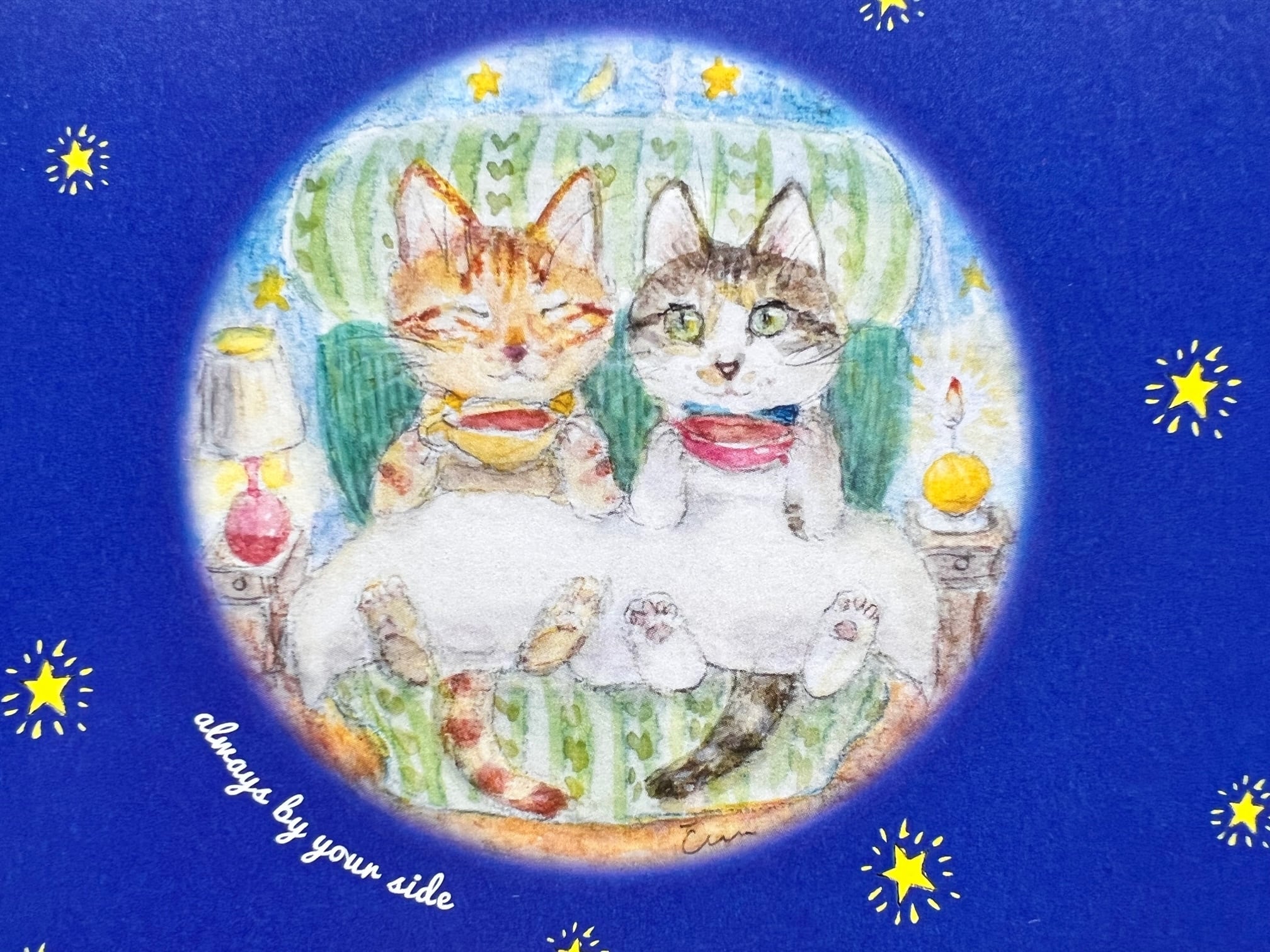 2024 小さな猫が白い夜灯に飽きる 小さな猫が白い夜灯に飽きる