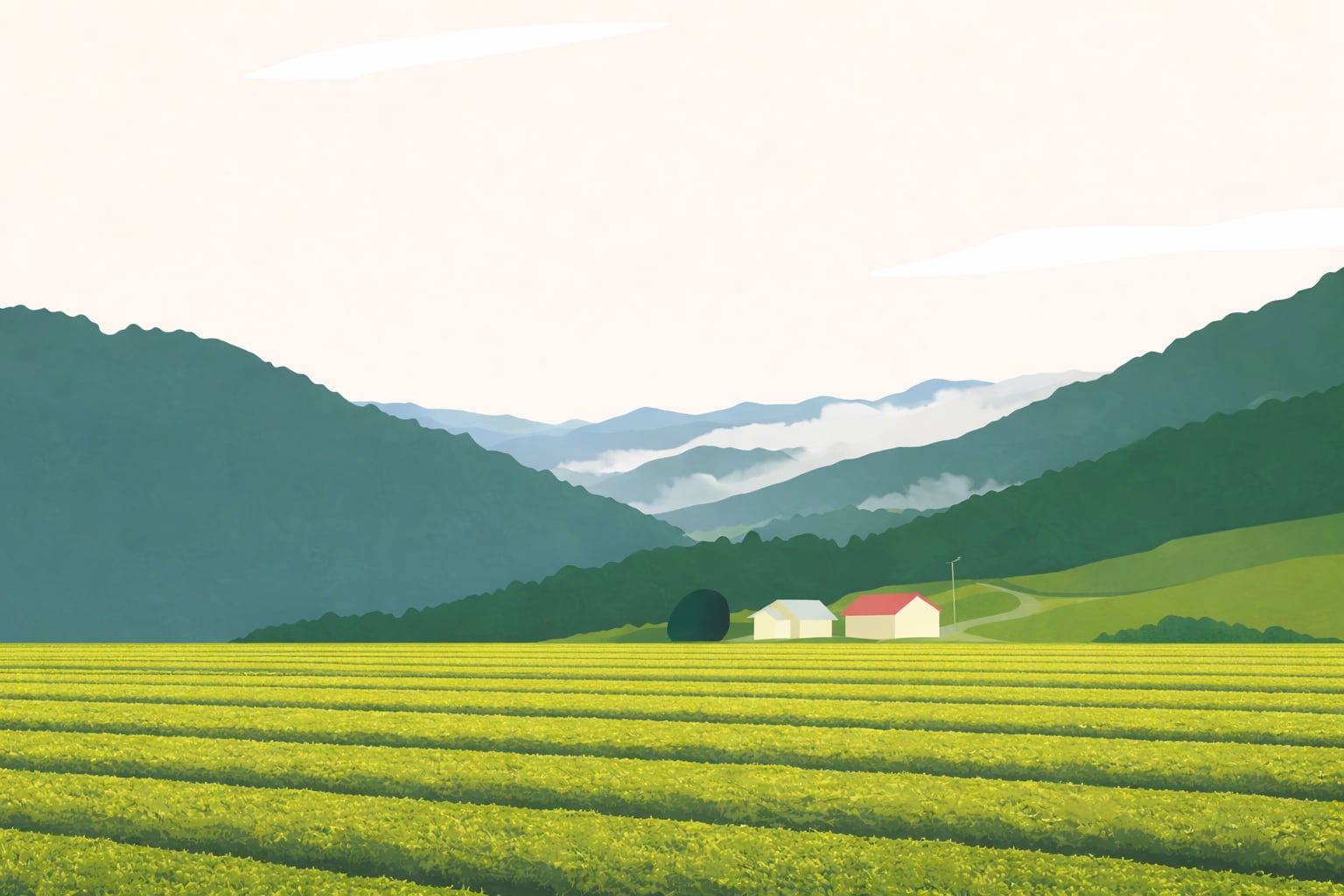 【2026年新茶】 安倍本山煎茶 - abe honyama sencha - ｜ ティーバッグ15個入り