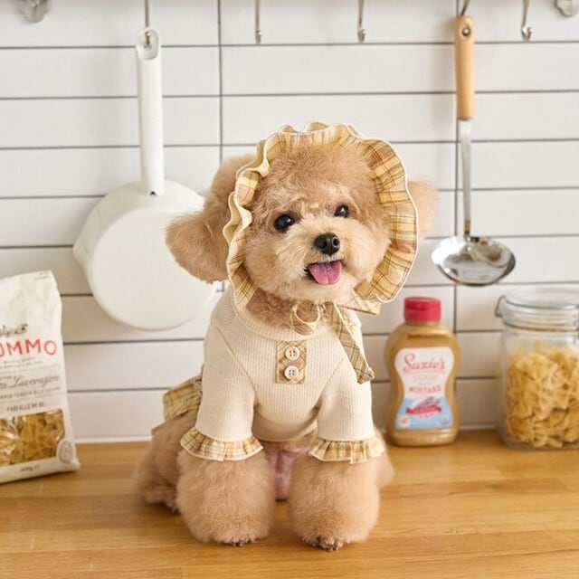 ラスト１点商品
まとめてみました