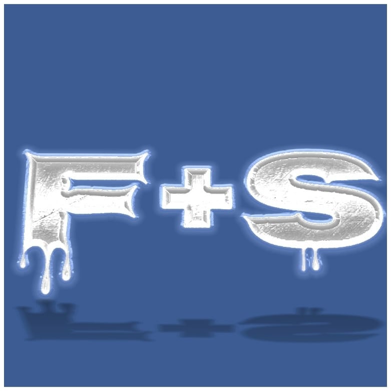 F+S(FLASH)