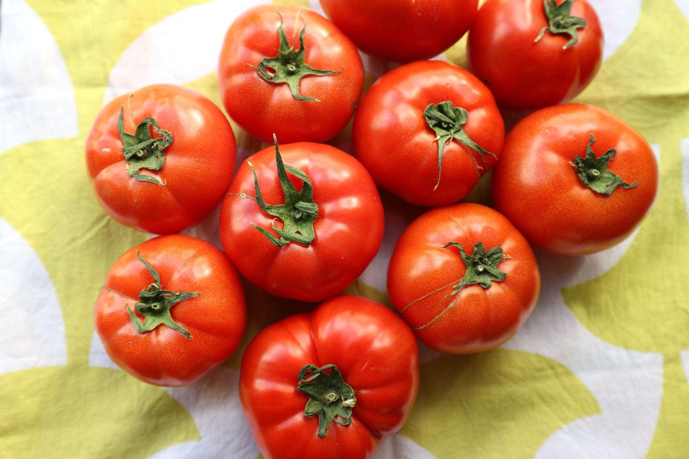 今年も愛媛県岩城島より
旨みがたっぷり詰まった
島トマト 入荷しました！【岡野農園】