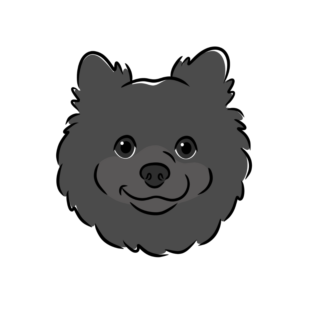 ポメラニアン | Tiamique（ティアミーク）｜オーダーメイドうちの子