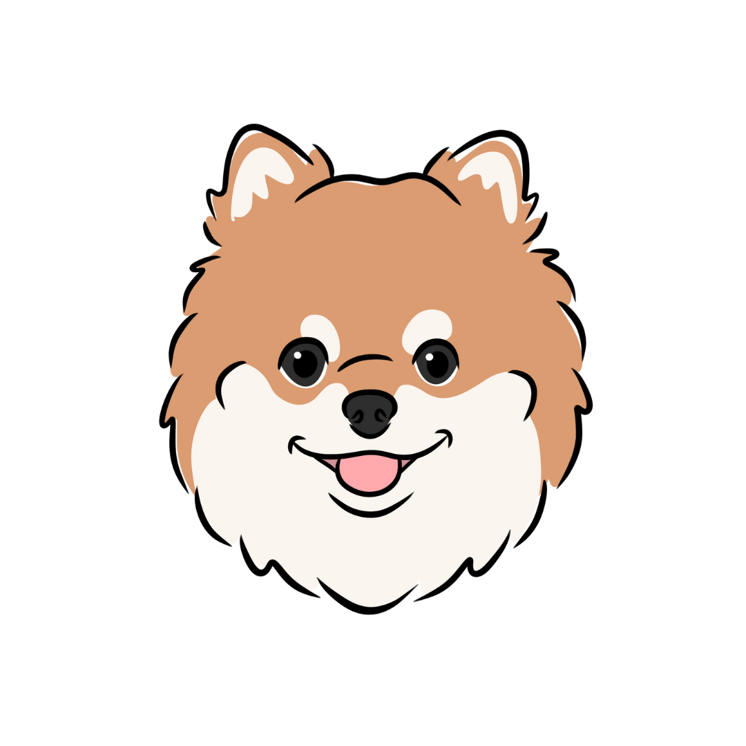 ポメラニアン | Tiamique（ティアミーク）｜オーダーメイドうちの子