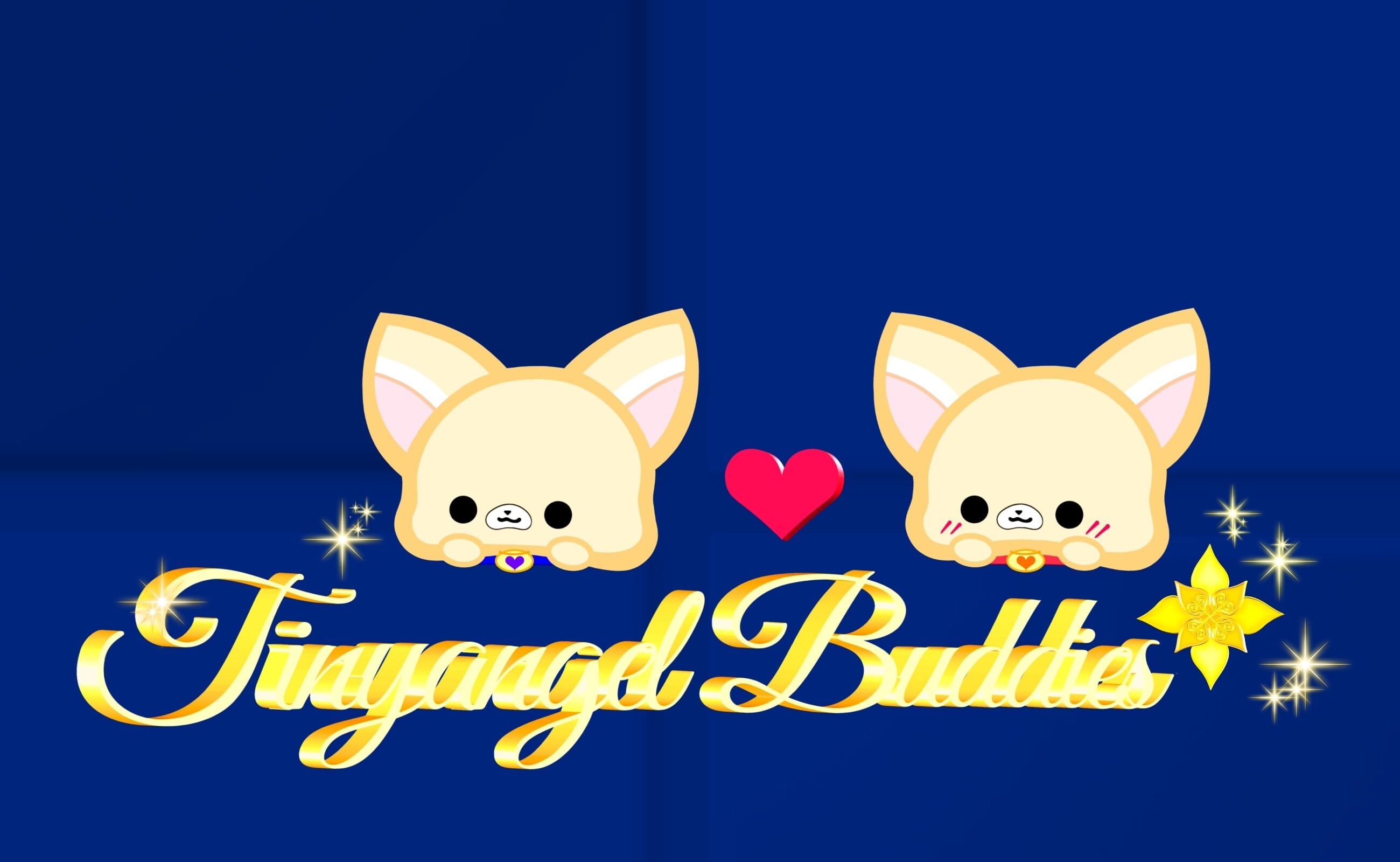 tinyangel buddies✵੯•`໒♥