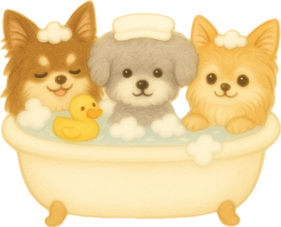 ティルモの小さなオンラインショップ