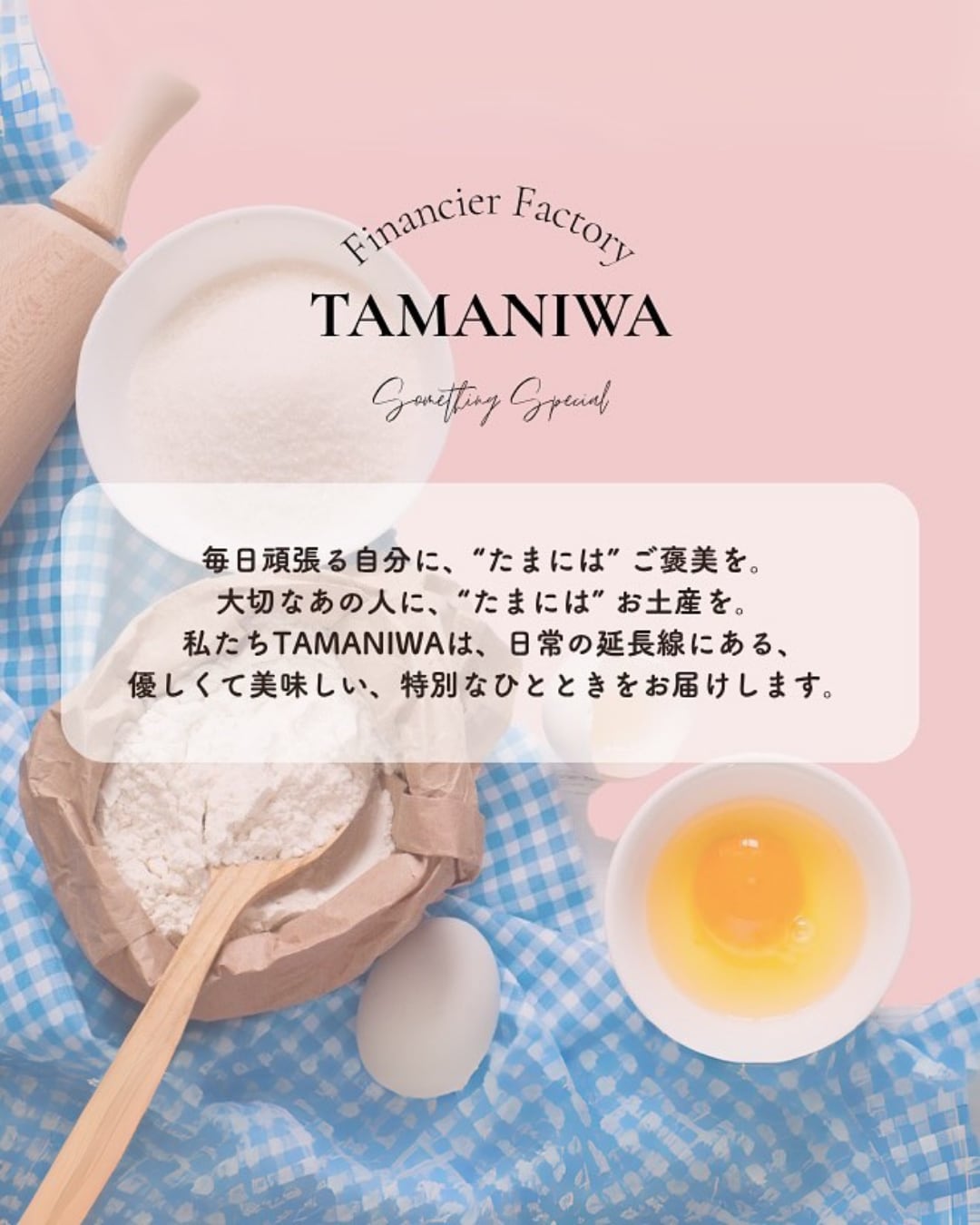 Financier Factory TAMANIWA