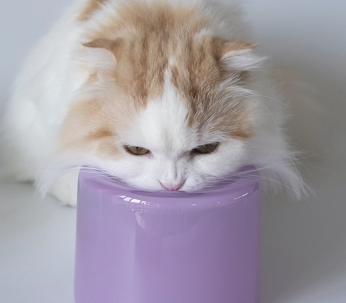 tofmofu