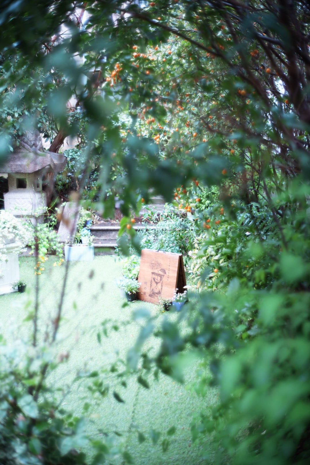 イメージ画像