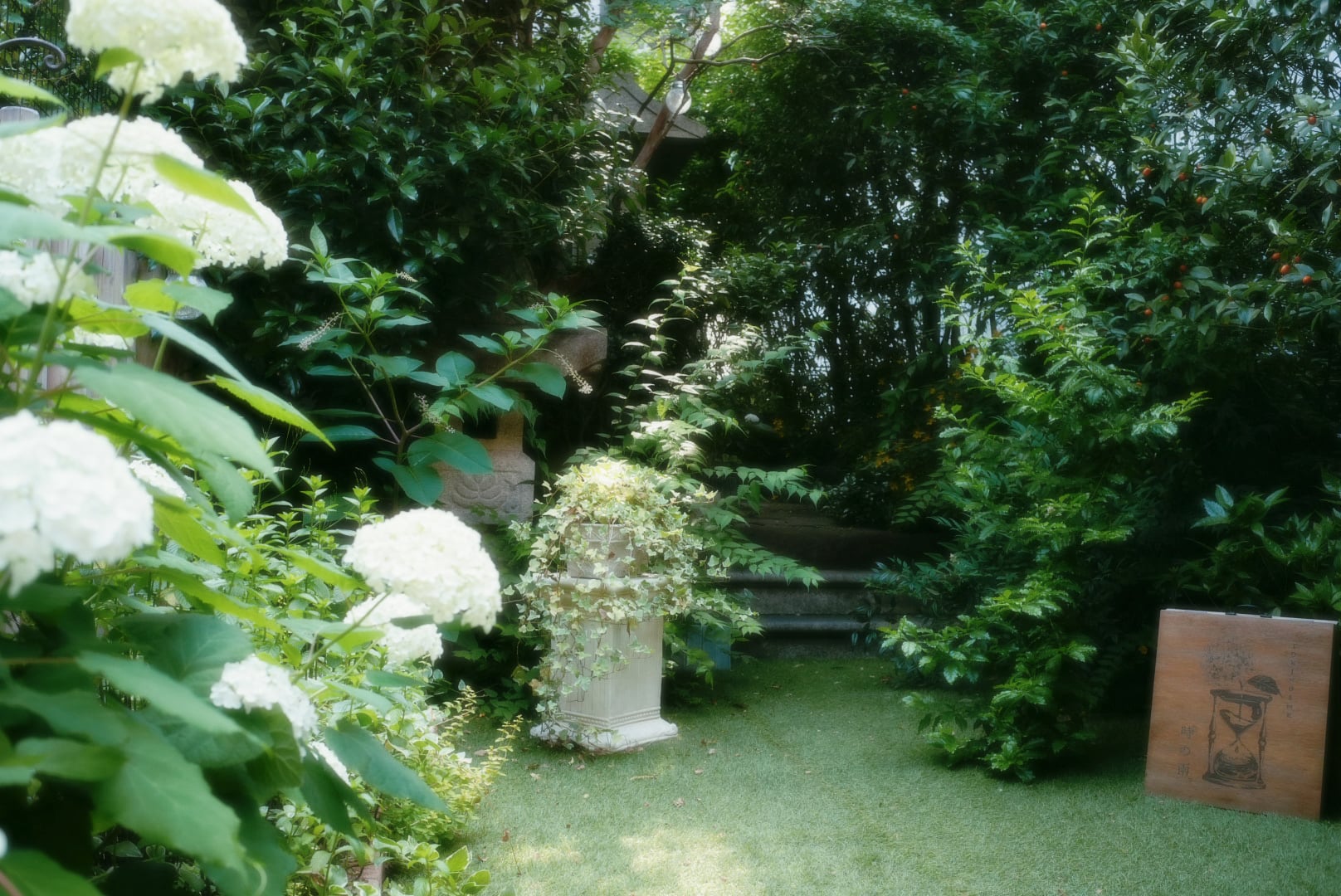 イメージ画像