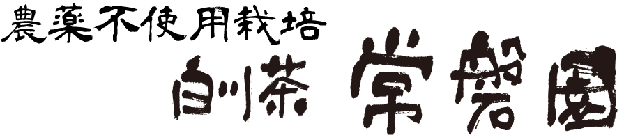 農薬不使用 白川茶 | 常磐園