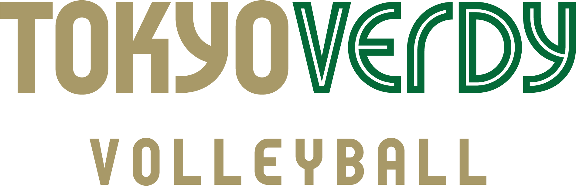 TOKYO VERDY VOLLEYBALL