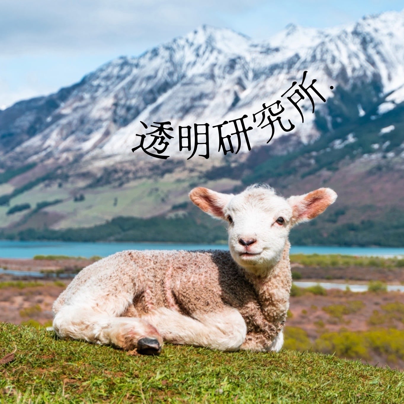 古着とアクセサリー 透明研究所. tomeikenkyusho